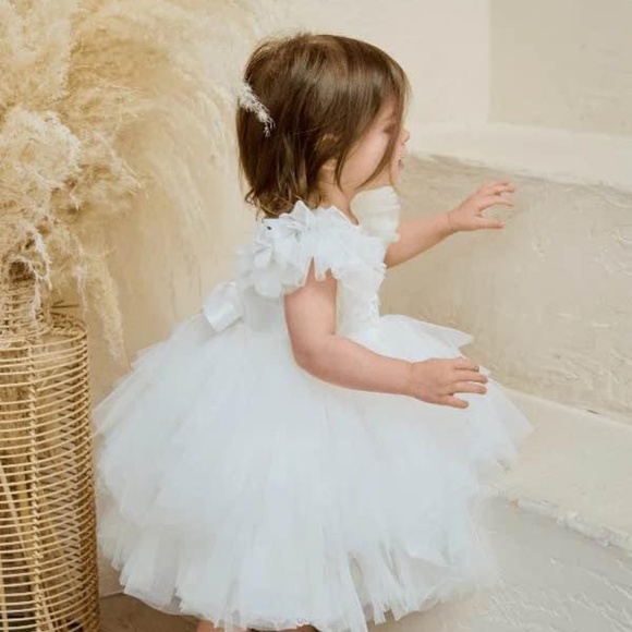 BRAND NEW baby teter warm baptism wedding flower girl lace tulle dress size 9M - Picture 4 of 9